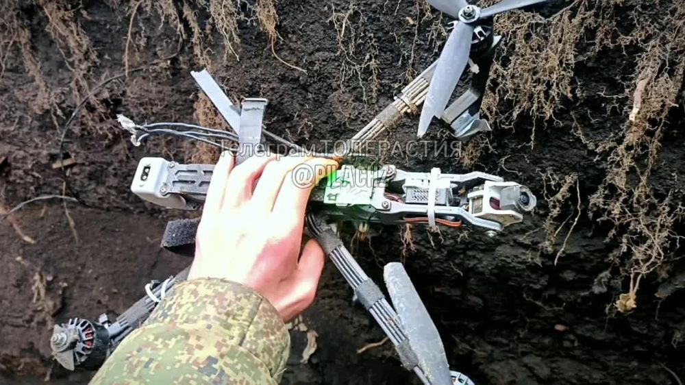 �������� �����: ������� ������� ������ FPV-����� ���