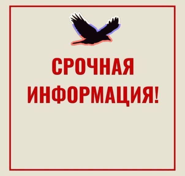 ������� �������. ����� �������� ���. 06.02