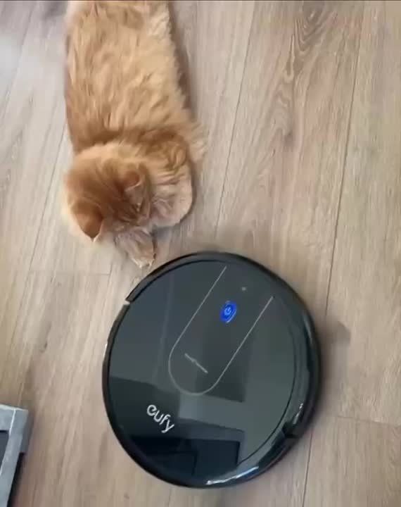 ���� � ����, � ������ � ����� ����!