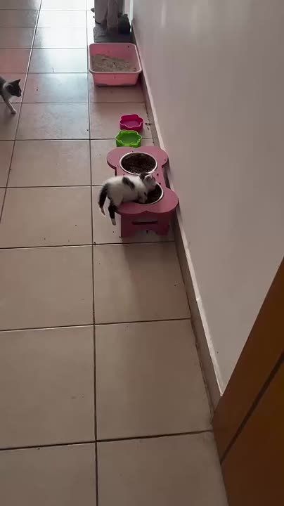������� � ������� ��� � ������ ��� � ��������� ����!