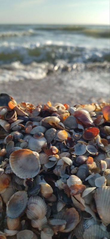 �������� ���������� ������������ ����� ����������, ������� ����������� ���� �� ������� ���������������������� � ��������� ������ ���� - �������� ����!