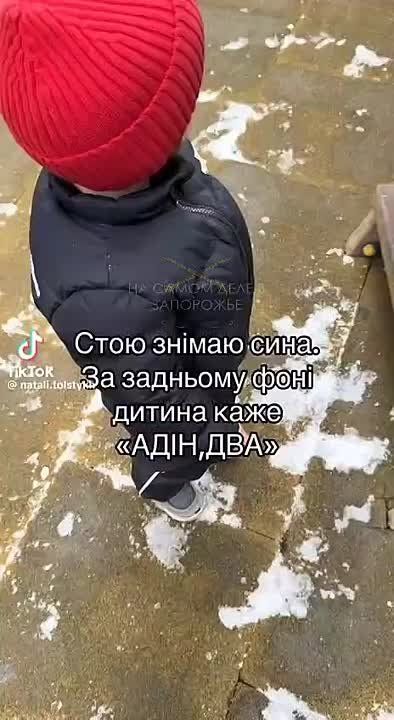 � ������� ������� �� "���� ����i�": ������������ ���������� ���������, ��� �������� ���������