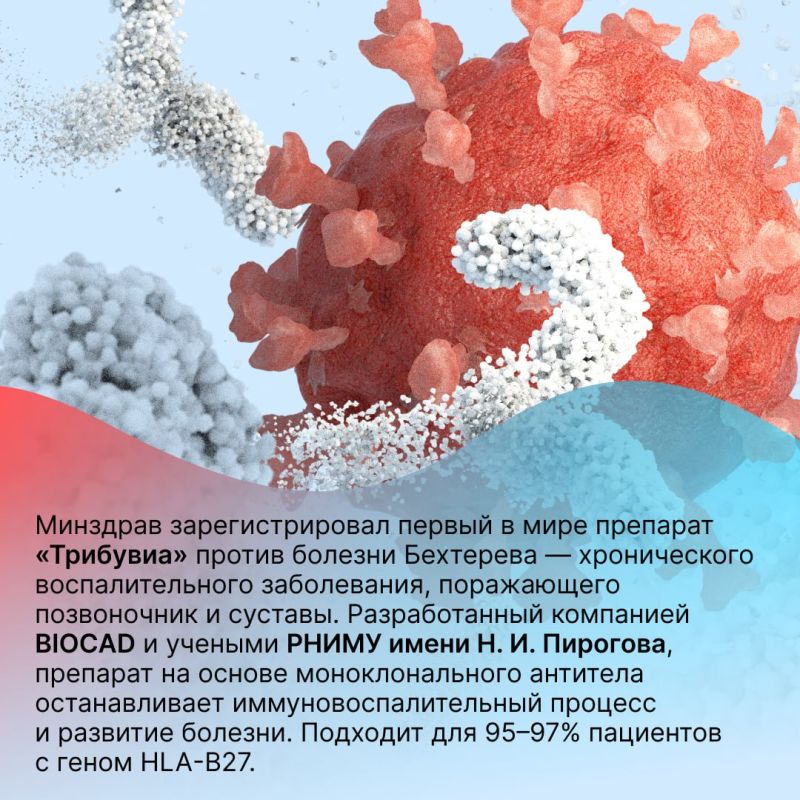 ���������� ���������� ������ �� 2024 ��� � ����� ��� ���������� �����