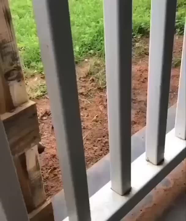 ������ ����, ������! �������� ��� ��� � ��������� ����������!