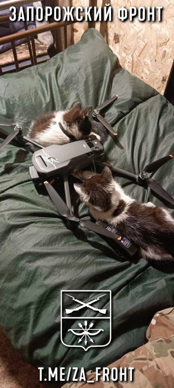 ���� ������� ���� � ������������ �����������