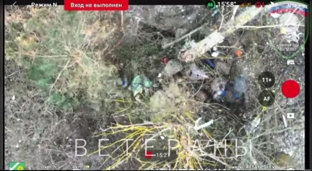 ����� FPV-����� ���ͻ �� ������� � ����������� ���������������, ���� �� ������� ������, ������� ��������� �������, ����������� ������� �������