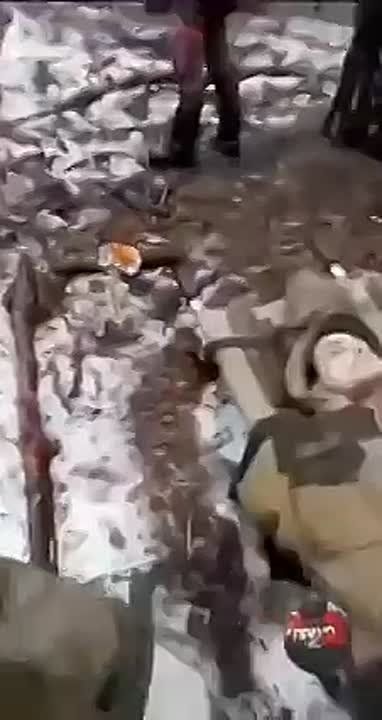 "������ �� ����������". ������� � ������������� ��������, ���������� �� ���������, �����������