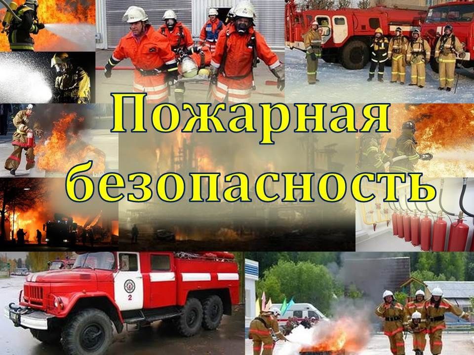 ����������� ��������� ������� ��������� ������� �������� ������������