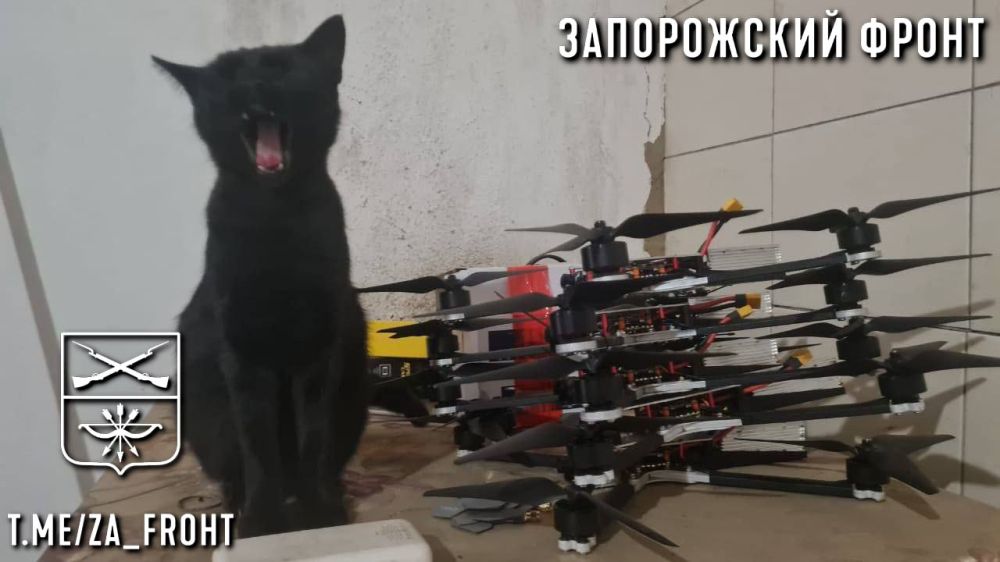 ���� ������� ���� � ������������ �����������