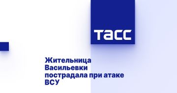 Жительница Васильевки пострадала при атаке ВСУ