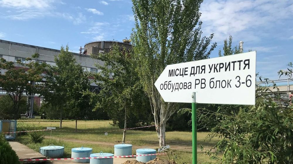 ������ �����������: ������ ��������� ��������� � ������� ������� �������� � ������