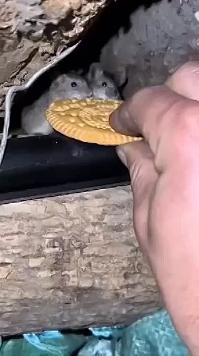 ���������� � �������� ����� ������� ����! ������ ����, ����������� �������!