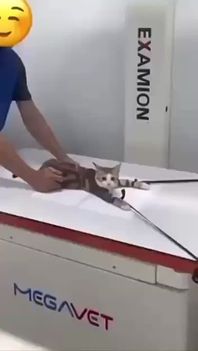 ���� �� �� �����, ��� �������� ��������� �������� � �����, �� ���