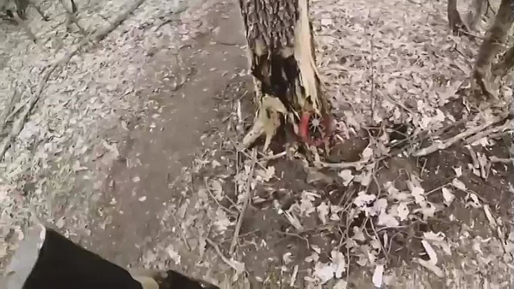 "� ���� ���!" - ������ ��������