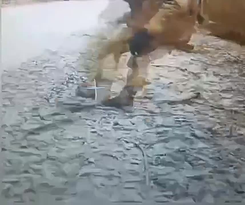 ��� ���� ������ ��������� � ���������� FPV-������ �� ��