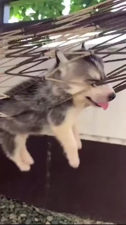 ��������� ����� ���� � �������� ������ � ���������