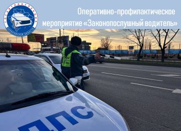 С 14 по 15 февраля 2025 года сотрудники Госавтоинспекции Запорожской области проведут оперативно-профилактическое мероприятие «Законопослушный водитель»