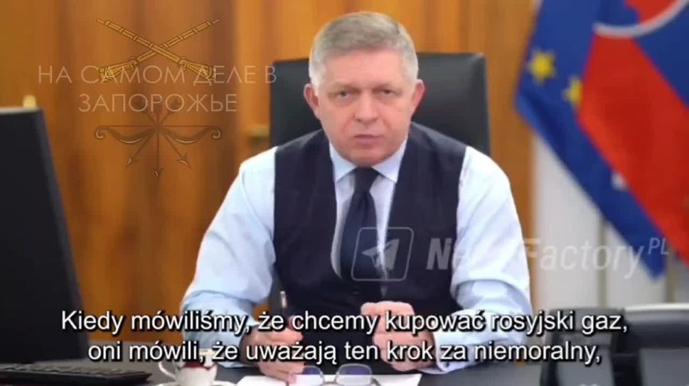 ������� ���������� ���������� ����� - �������-������� �������� ������ ���� ������� ������������