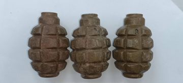 Тайник боеприпасов в лесополосе обнаружили полицейские Запорожской области