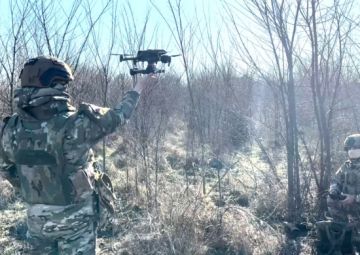 В Запорожской области операторы БпЛА группировки войск Днепр помогли штурмовым группам занять позиции ВСУ в лесополосе