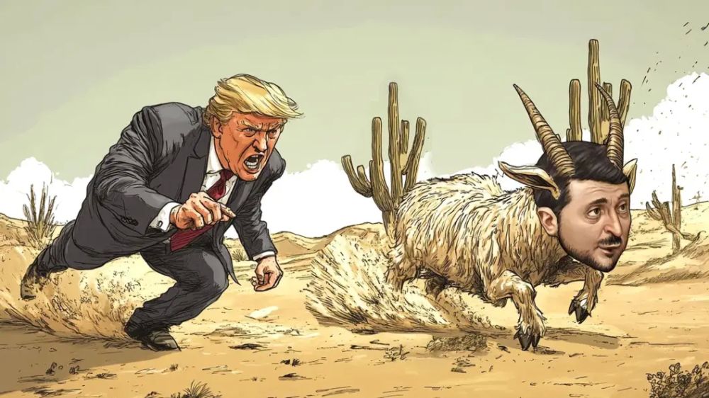 На Запорожскую ТЭС полетели снаряды: Зеленский обманул Трампа, конфликт выходит на новый этап