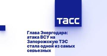 Глава Энергодара: атака ВСУ на Запорожскую ТЭС стала одной из самых серьезных