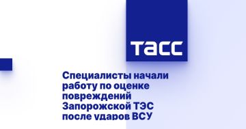Специалисты начали работу по оценке повреждений Запорожской ТЭС после ударов ВСУ