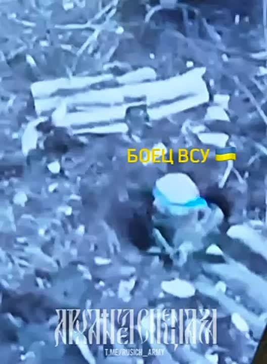 ������� �����������. ���� ��� ����� �������� � �������� FPV � ������ � ����� � ���� �� ������� ��� ������� ��������