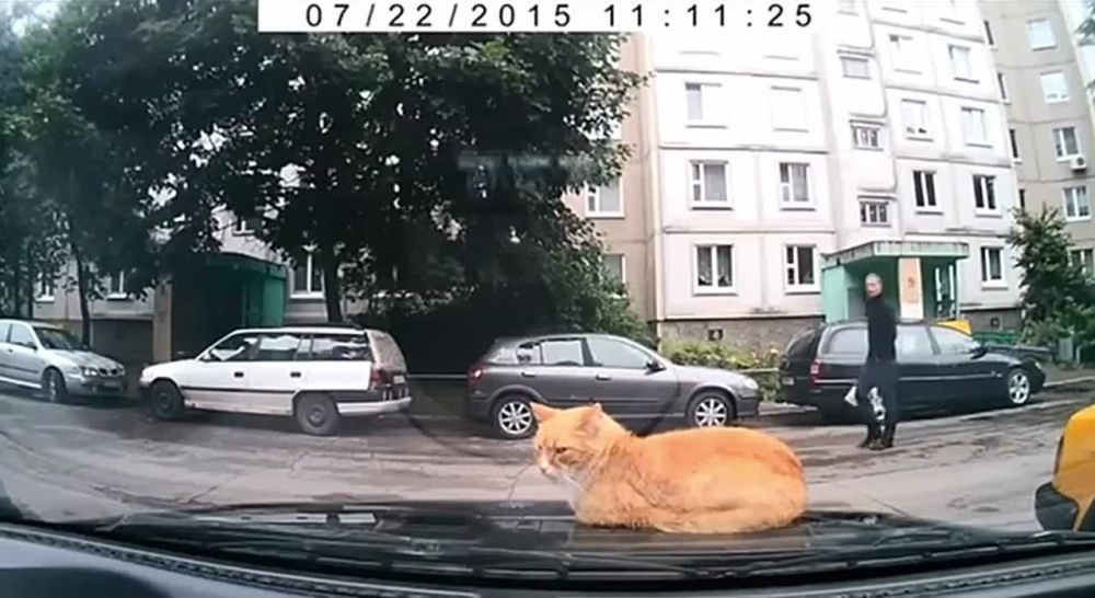 ����������� ��������� ����� �������� ����!