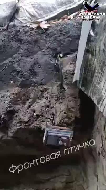 �������� �� ������� ����������� ������ ��, ����� �� ���� '���������' �������� �� ����