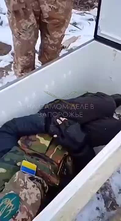 ������� ������ �� �������: ��������� � ����� ��� ������ � ��������