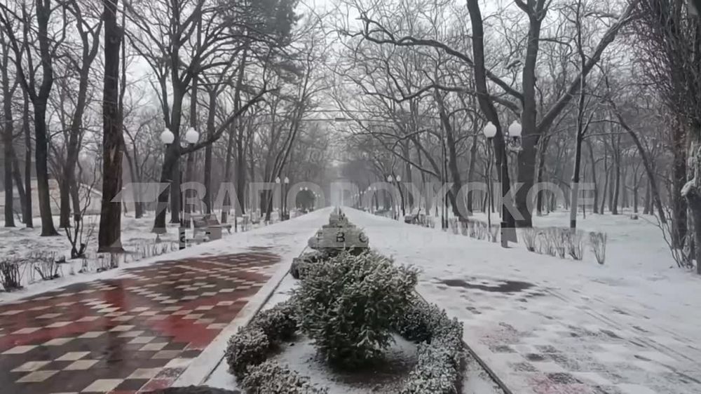 ������� ���� � ����� ����� �������� � ���������� �������� �������� ��������