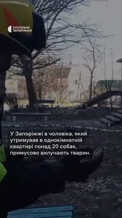 � �������������� �������� ������� ������ ��������� ����� ������ � 1-��������� �������� 30 �����