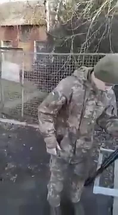 �������� ��������� �������� �� ���������� ����