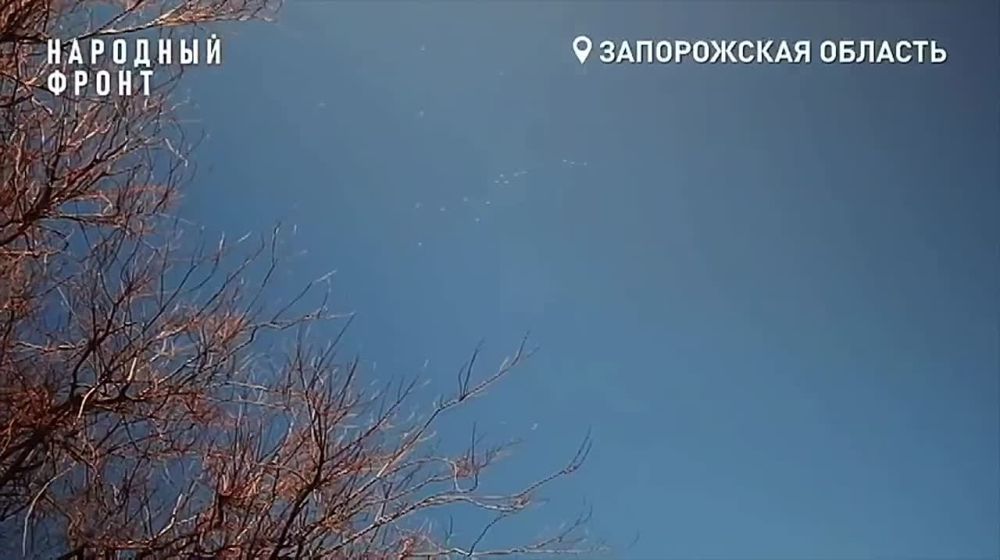 �������� ����� �������� ������������ ������ � ����������