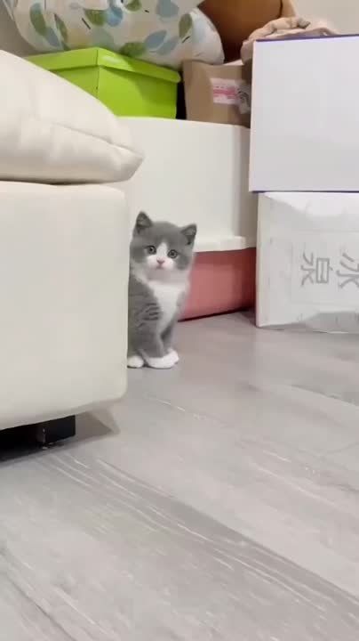 ������� ���� , ������� ������������!