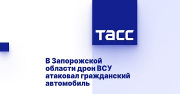 В Запорожской области дрон ВСУ атаковал гражданский автомобиль
