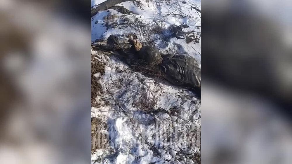 ������� �����������, �.�. �����������
