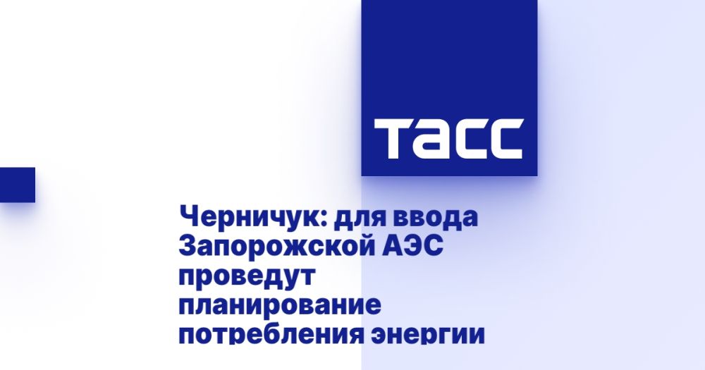 Черничук: для ввода Запорожской АЭС проведут планирование потребления энергии