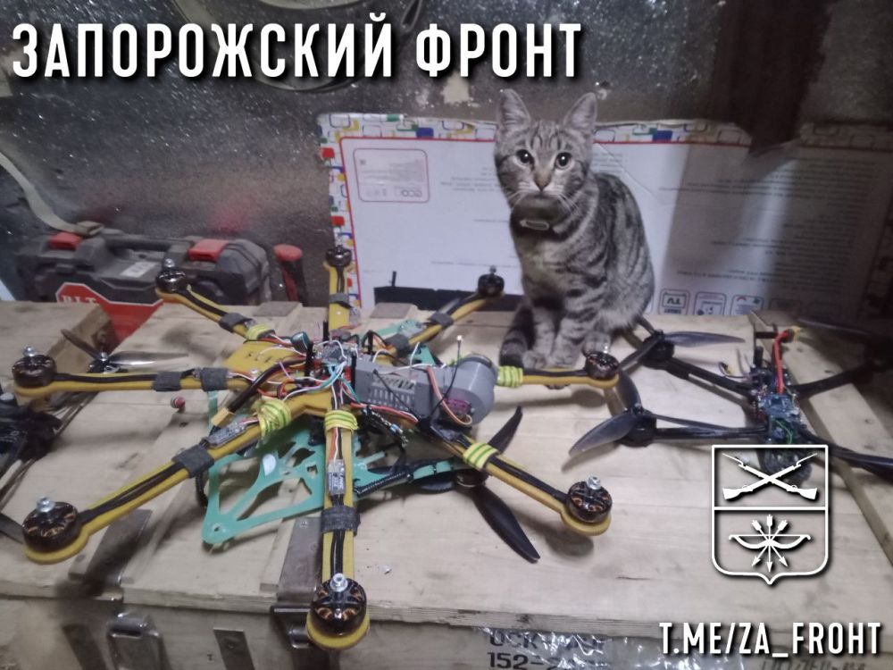 ���� ������� ���� � ������������ �����������