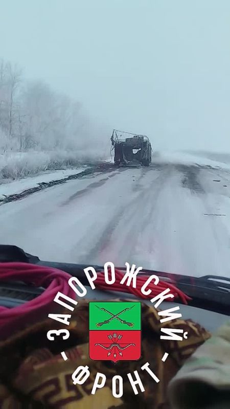������������ ��� �113 ��� � �������� ���-�� �� ������
