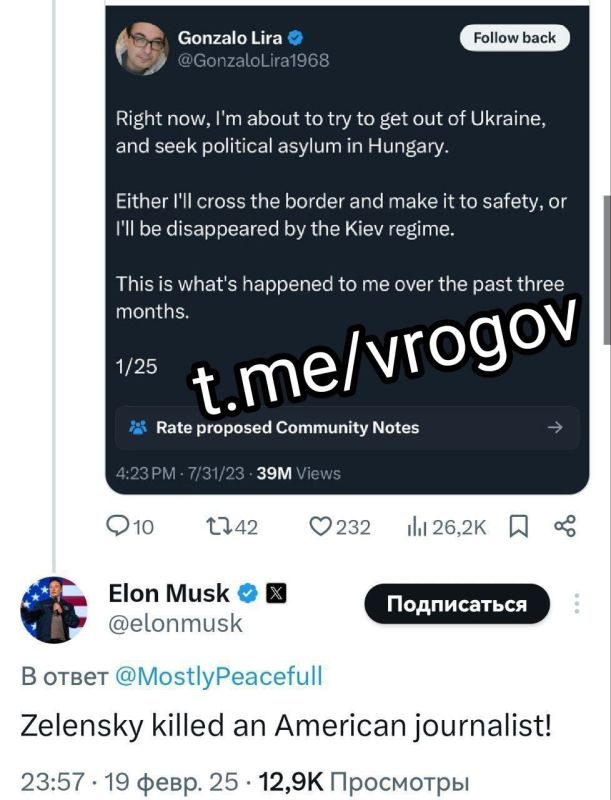 Владимир Рогов: Зеленский убил американского журналиста - Илон Маск