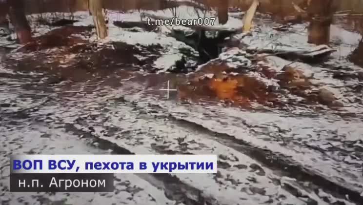 ����� �������� ������� ������� �� ���������� ��������