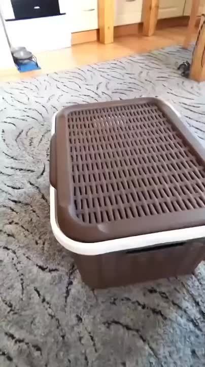 ��� � ��������� ������������ �������!