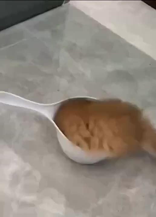 ����, � � ����������� ������ � �� ��� ��������!