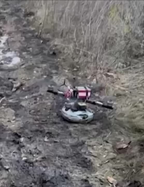 FPV-���� �� �� � ������ ������ � ���� ��������������� ���� ��