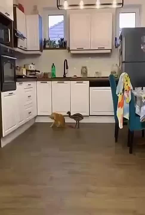��������� ������� � ����� ������� ������!