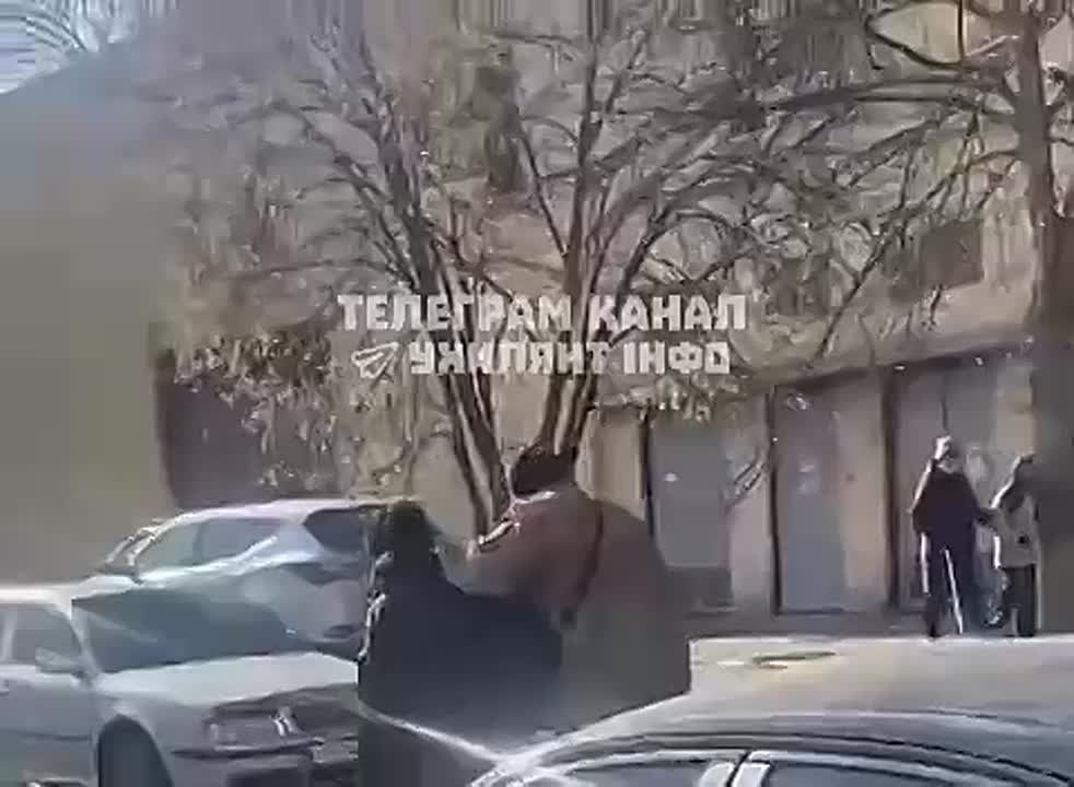 ����������, � ���� ����!� - ��������� ����������� ��������� ������������ ����������� � ������ 404
