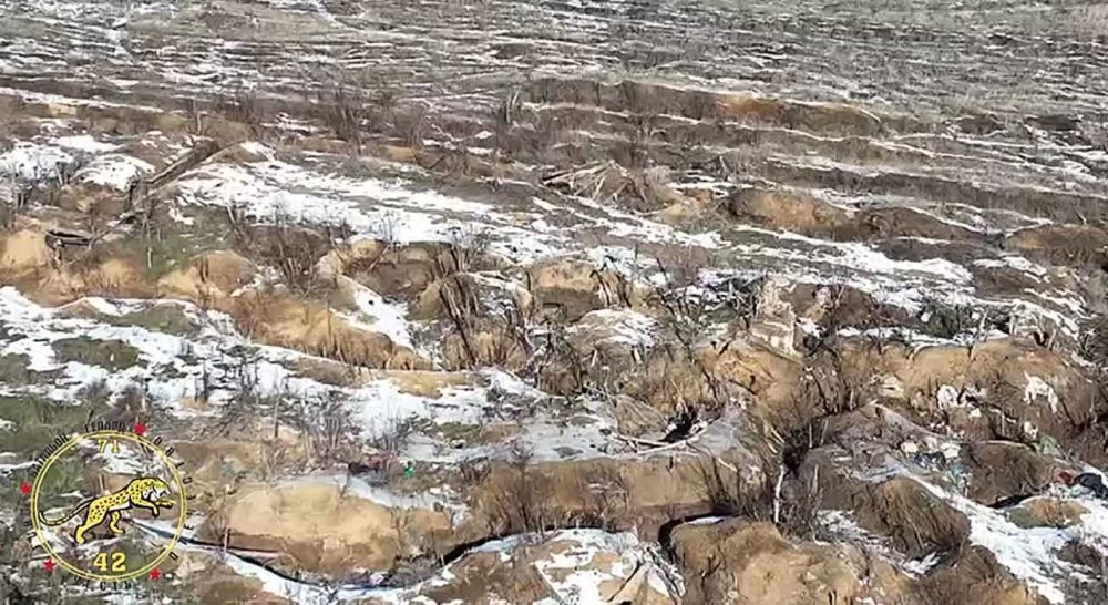 ��������� FPV-������ ��������� ������ ��������� ������� ���������� �� ����������� �����������