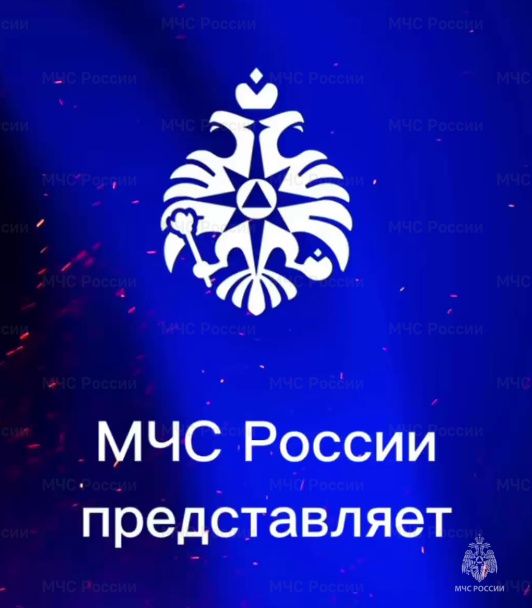 МЧС России запускает челлендж #ДеньЗащитникаОтечества